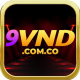 9vndcomco