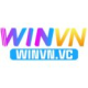 winvnvc 