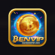 Foto del perfil de Benvip