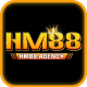hm88agency