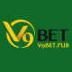 v9betpub's avatar