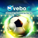 vebozcdcc