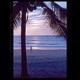 KeralaViews