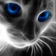 nwayve Avatar