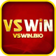 Profile photo of Vswin bio