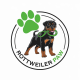 Profile picture of Rottweiler Paw