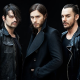 Profile picture of Thirty Seconds to Mars Merch