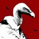 Zec Avatar