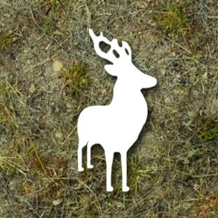 Profilbillede af Frederik