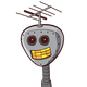 daephosxeretua