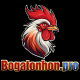 Foto del perfil de Bồ gà Tonhon
