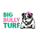 Profile picture of Big Bully Turf