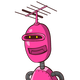 raulenvagibbi