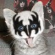 Avatar de fabioaz
