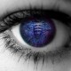 SherpaPsy Avatar