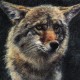 user avatar image for Thes Hunter