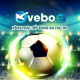 vebozcwcc