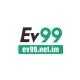 Profile picture of ev99netim