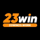 Foto del perfil de 23win23work