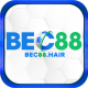 bec88hair