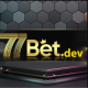 Profile picture of 77BET Dev