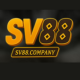 SV88's user avatar