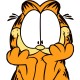 anonim1133 Avatar