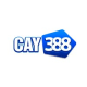 Profile photo of cay388vin
