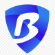 Foto del perfil de bitbrowser