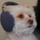 MMGN.com Avatar