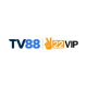 tv88homecom