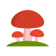 infokhoitkcom