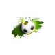 beritasepakbola