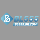 Profile picture of bl555grcom