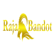 Profile picture of rajabandot
