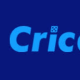 Profile picture of cricaza 247