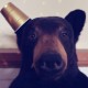 flouflou2000 Avatar