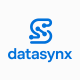 datasynx.ai