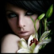 Avatar de Rebeka