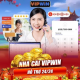 Profile picture of Vipwin