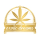 Profile picture of exoticdreamdc
