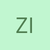 Zaripov Inzil profile picture