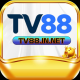 Foto del perfil de TV88