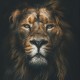 Profile picture of derock299