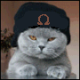 ISCI Avatar
