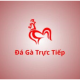 Đá gà trực tiếp's user avatar
