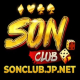 Foto del perfil de sonclub jp net