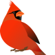 pfctdayelise