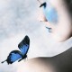 Author's avatar image