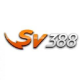 Illustration du profil de sv388vnhost2024